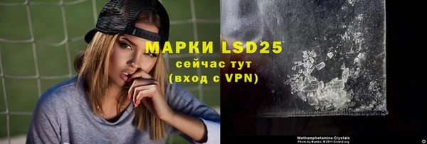 трава Магас