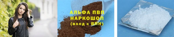 твердый Абаза