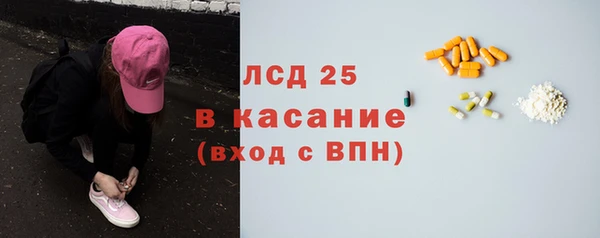трава Магас