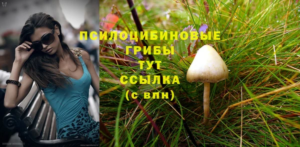 твердый Абаза