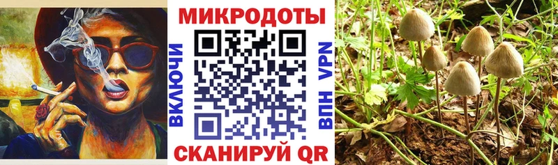 Галлюциногенные грибы мицелий  Домодедово 