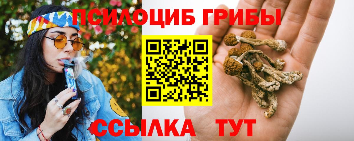 Домодедово  Псилоцибиновые грибы Magic Shrooms  Вход с VPN  Галлюциногенные грибы ЛСД 